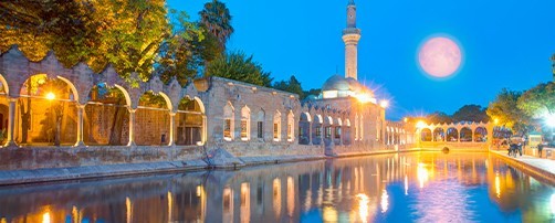 Şanlıurfa Rent a Car
