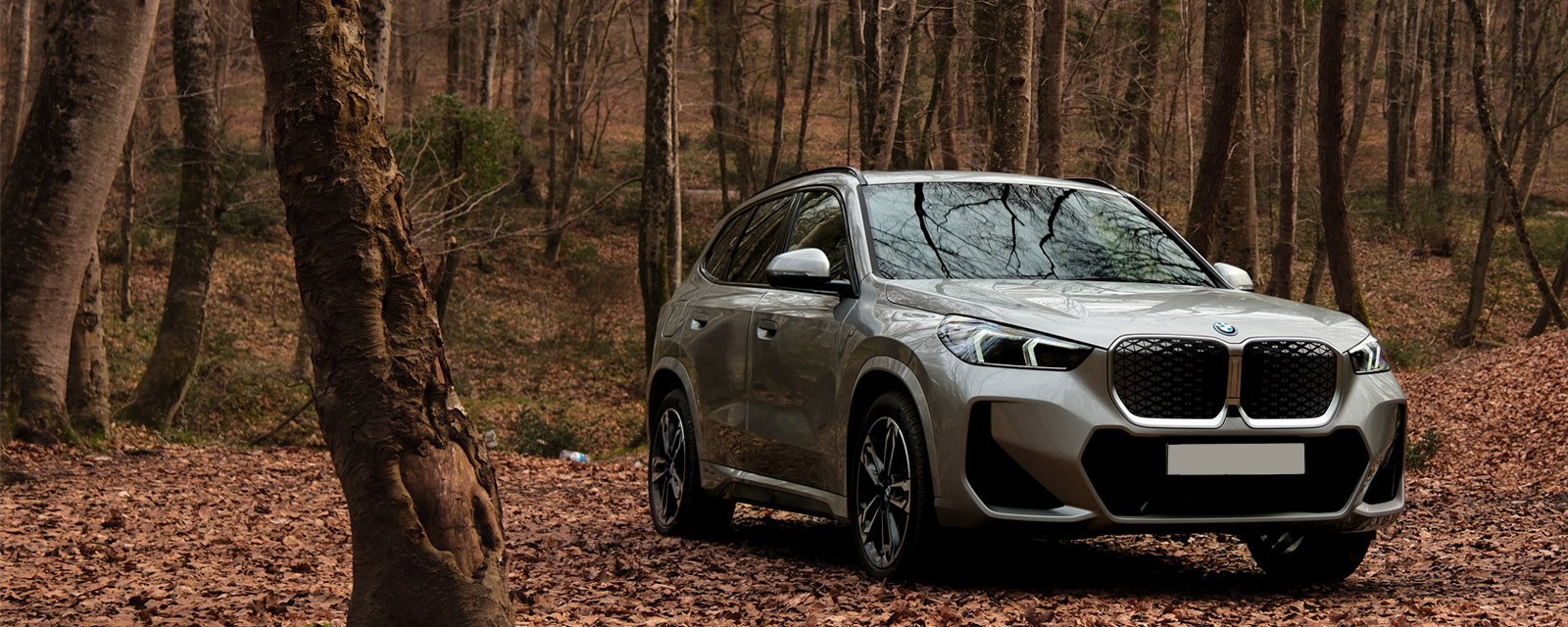 Bmw iX1 Rental