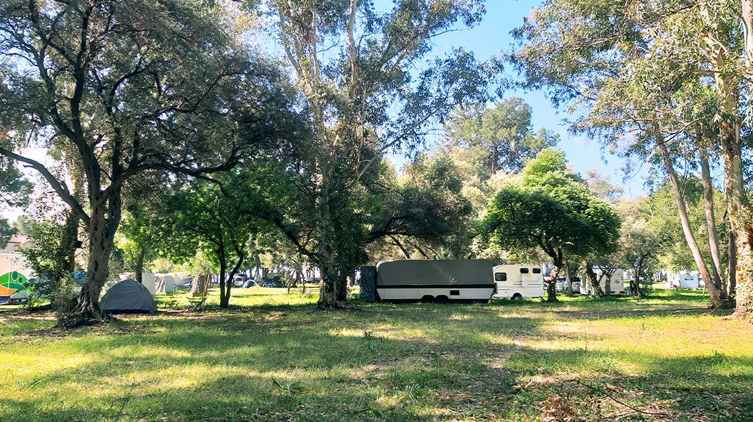 İzmir Kamp Alanları